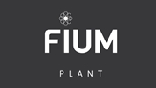 FIUM PLANT
